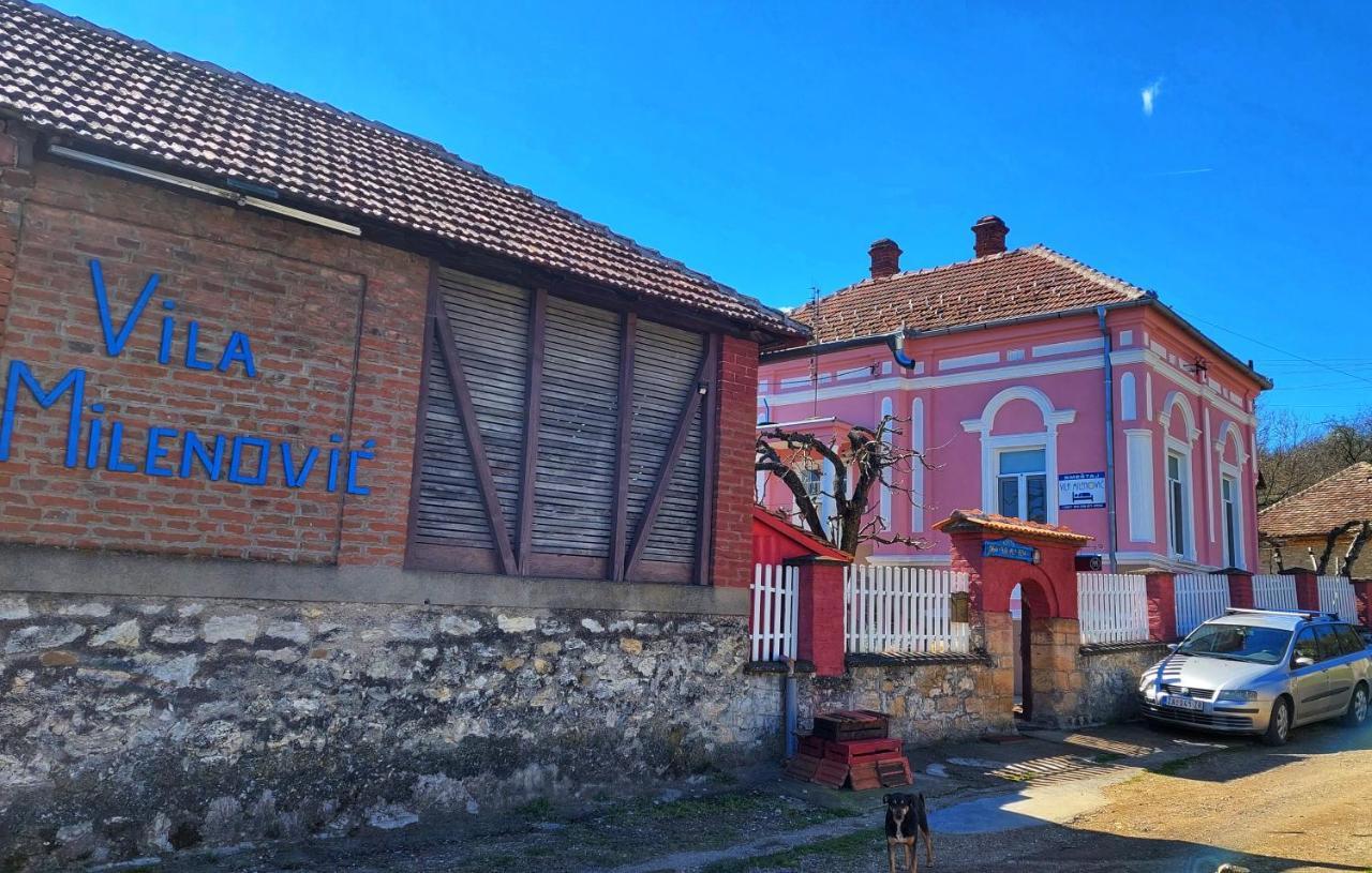 Vila Milenovic Rajacke Pivnice Exterior foto